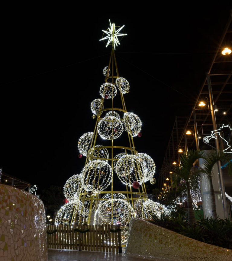 Christmas Lighting Services Offered by Ximenez