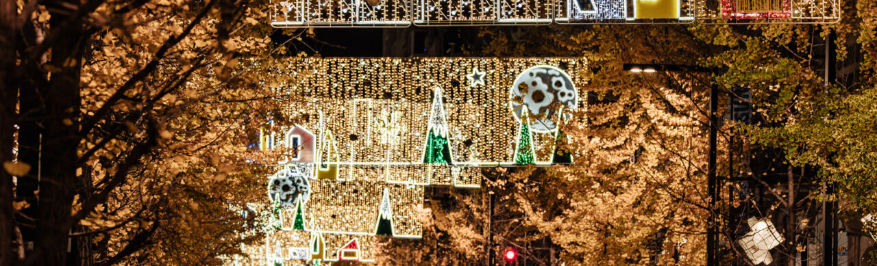Christmas Lights in Granada