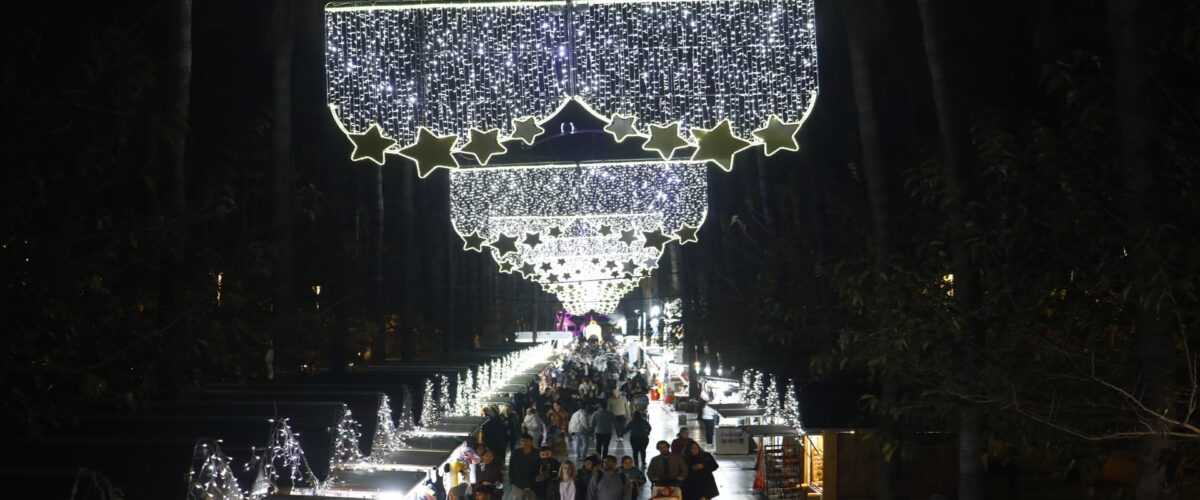 Christmas Lights in Almería