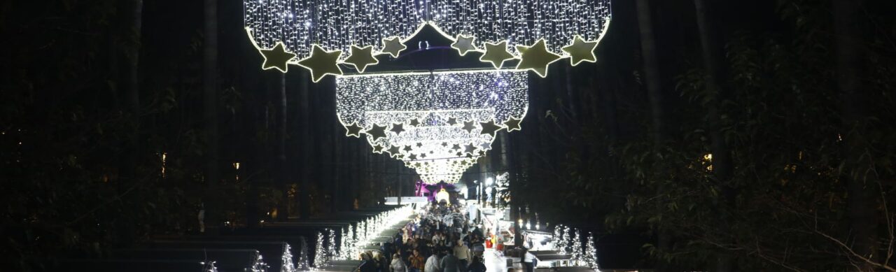Christmas Lights in Almería