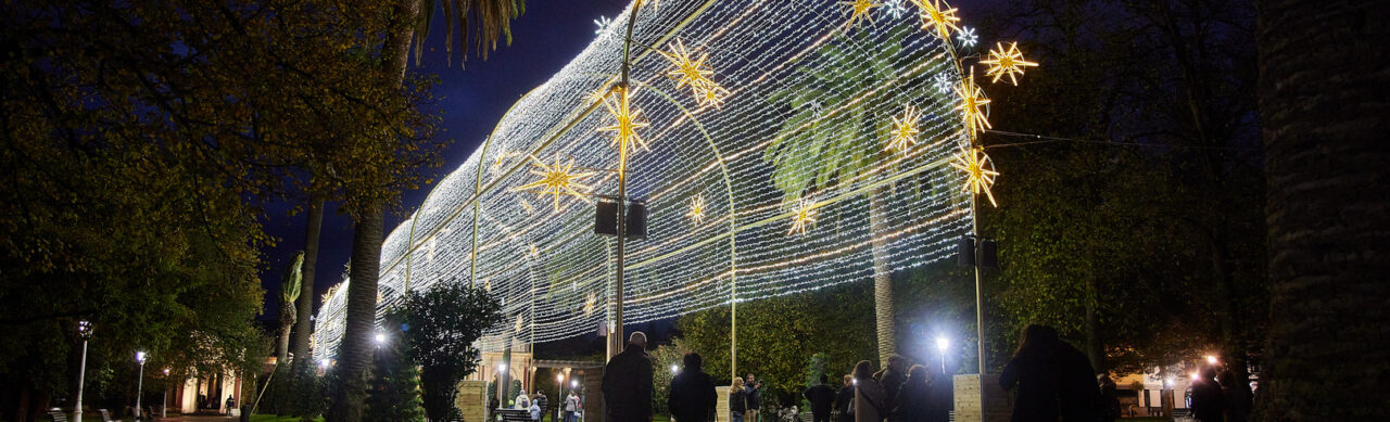 Christmas Lights in Bilbao